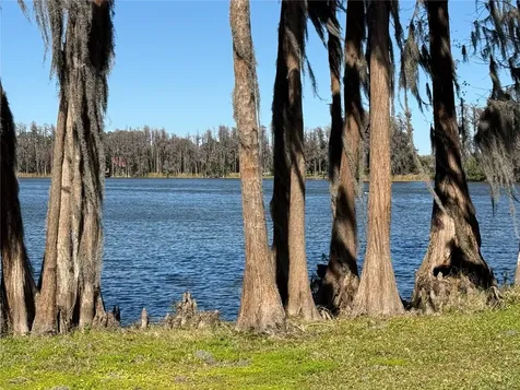 20425 Gardenia Drive Land O Lakes FL 34638