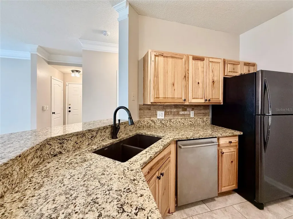 18013 Villa Creek Drive Tampa FL 33647