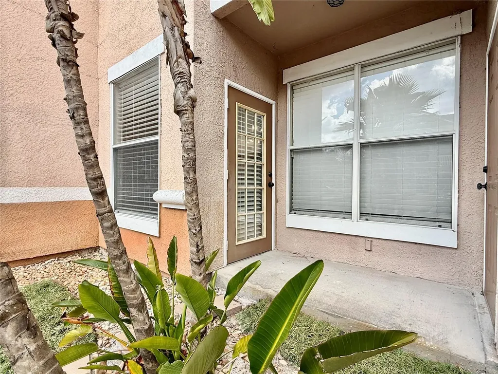 18013 Villa Creek Drive Tampa FL 33647
