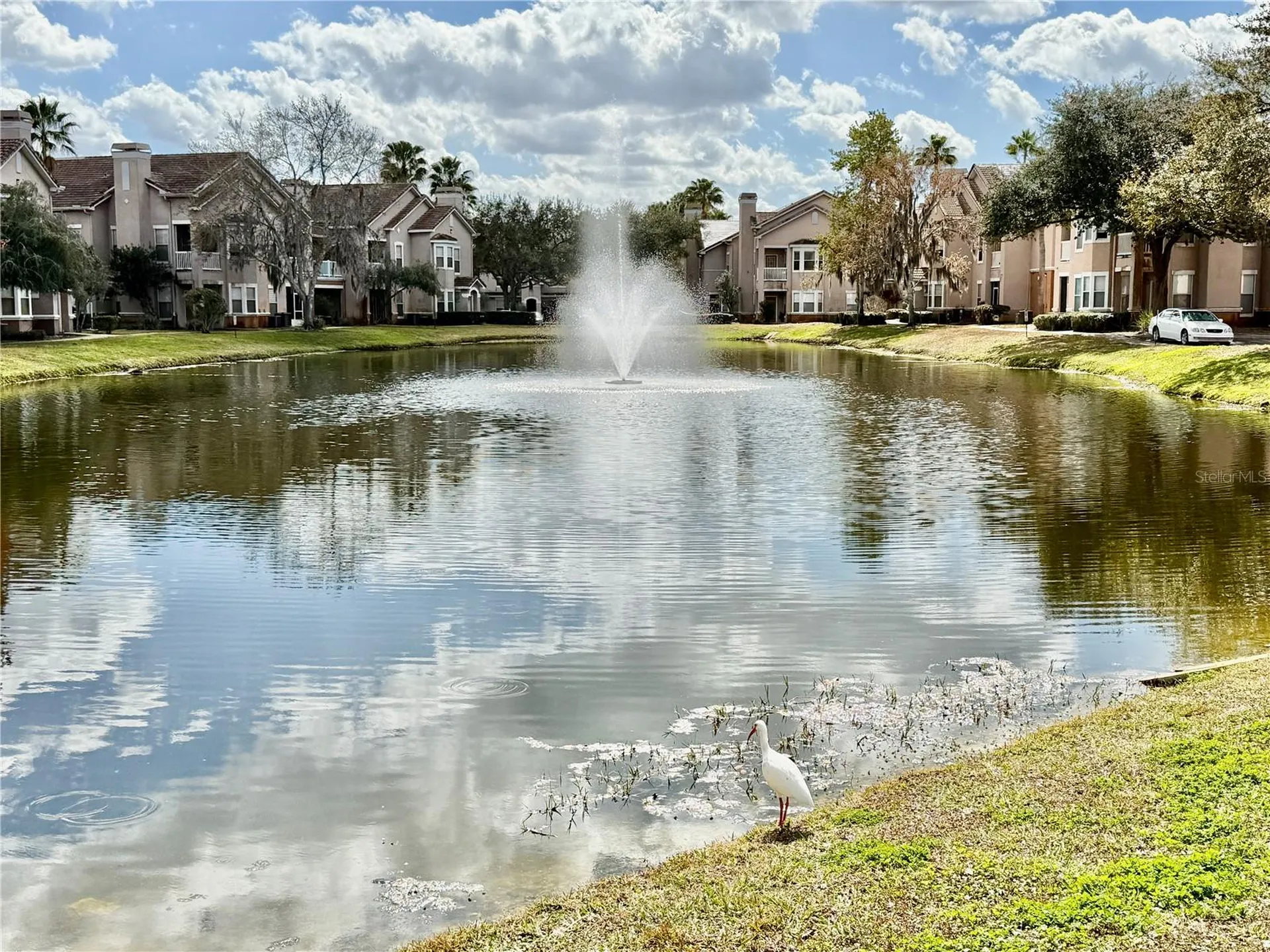 18013 Villa Creek Drive Tampa FL 33647