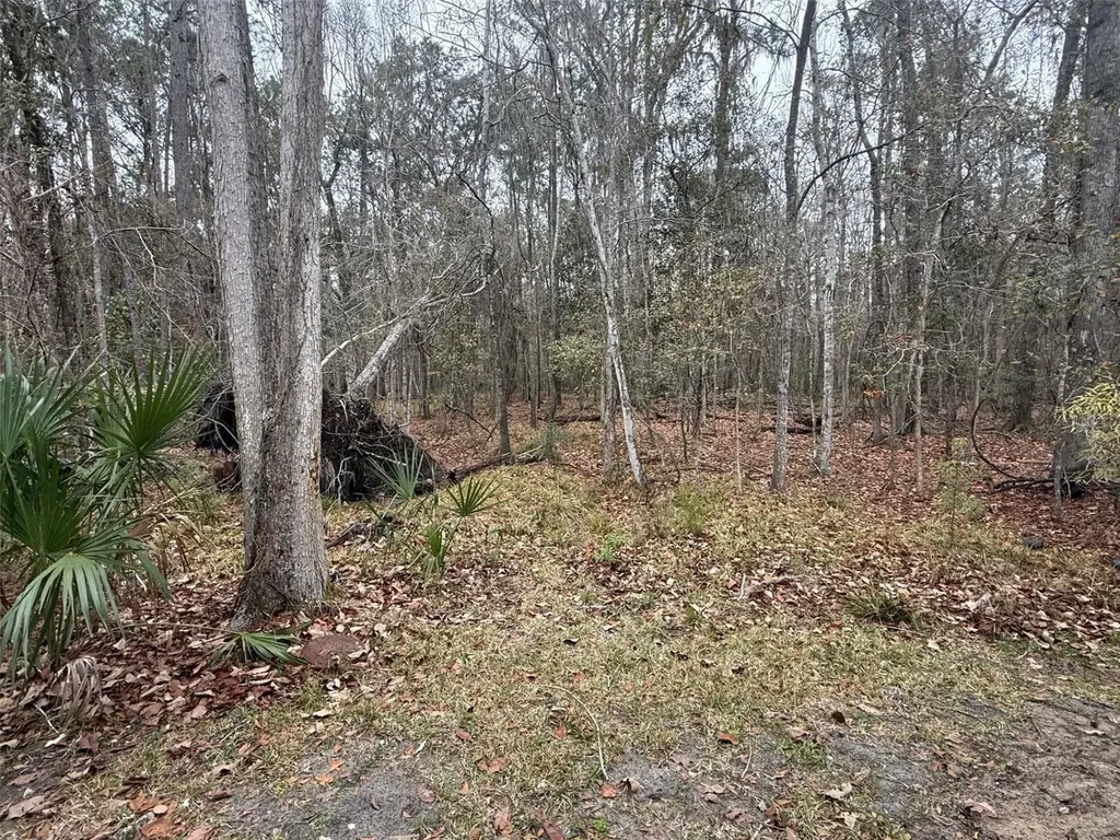 7078 NW 52nd Terrace Gainesville FL 32653