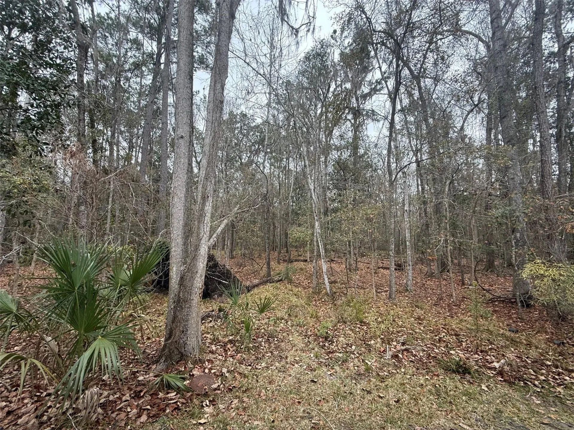 7078 NW 52nd Terrace Gainesville FL 32653