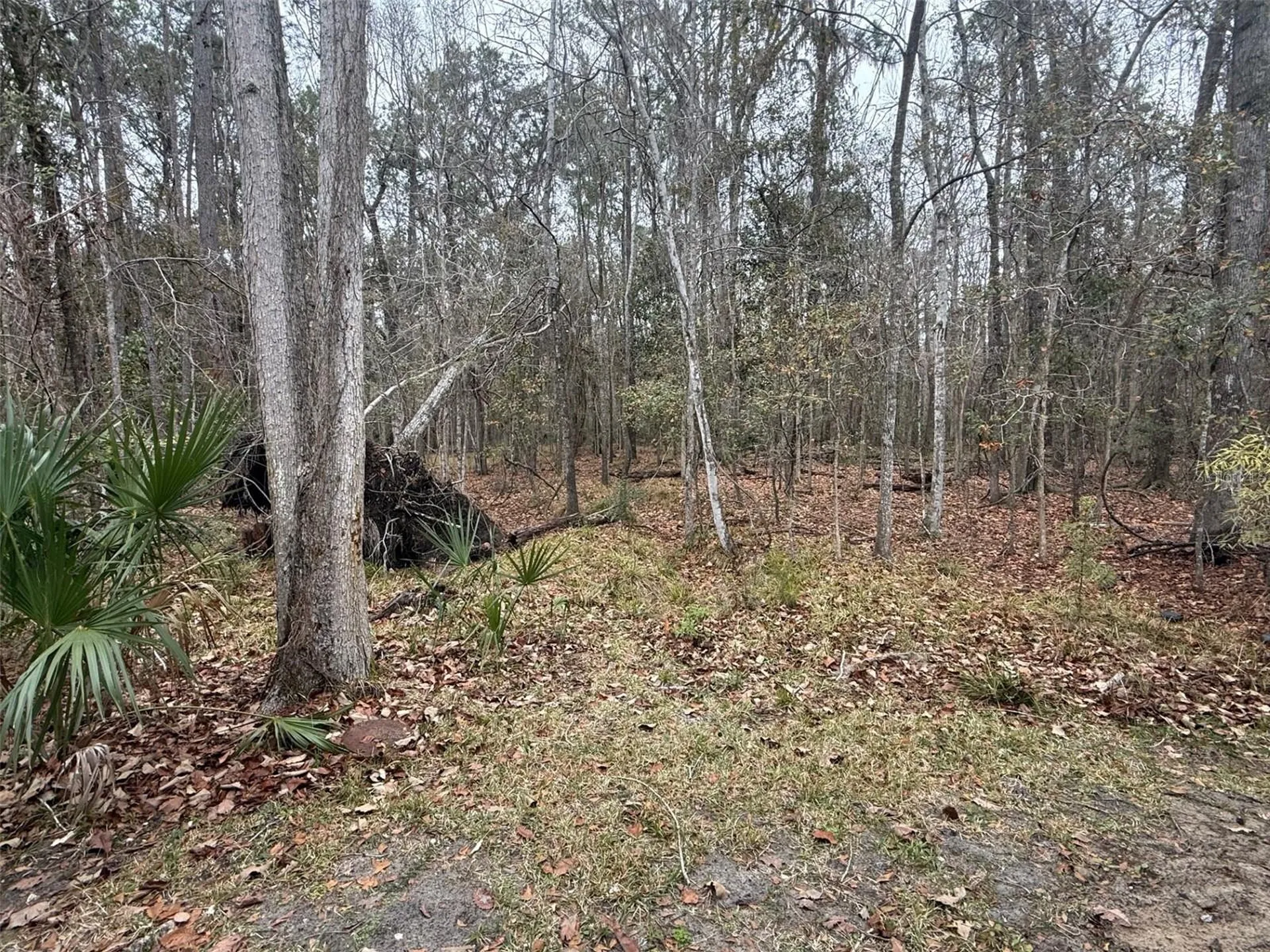 7078 NW 52nd Terrace Gainesville FL 32653
