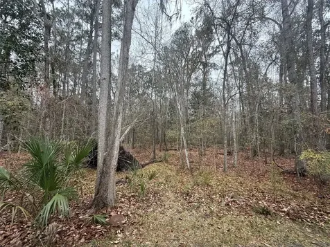 7078 NW 52nd Terrace Gainesville FL 32653