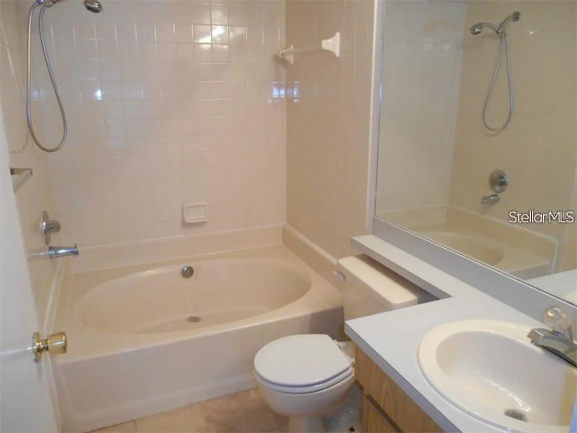 4015 Angel Oak Court Tampa FL 33613