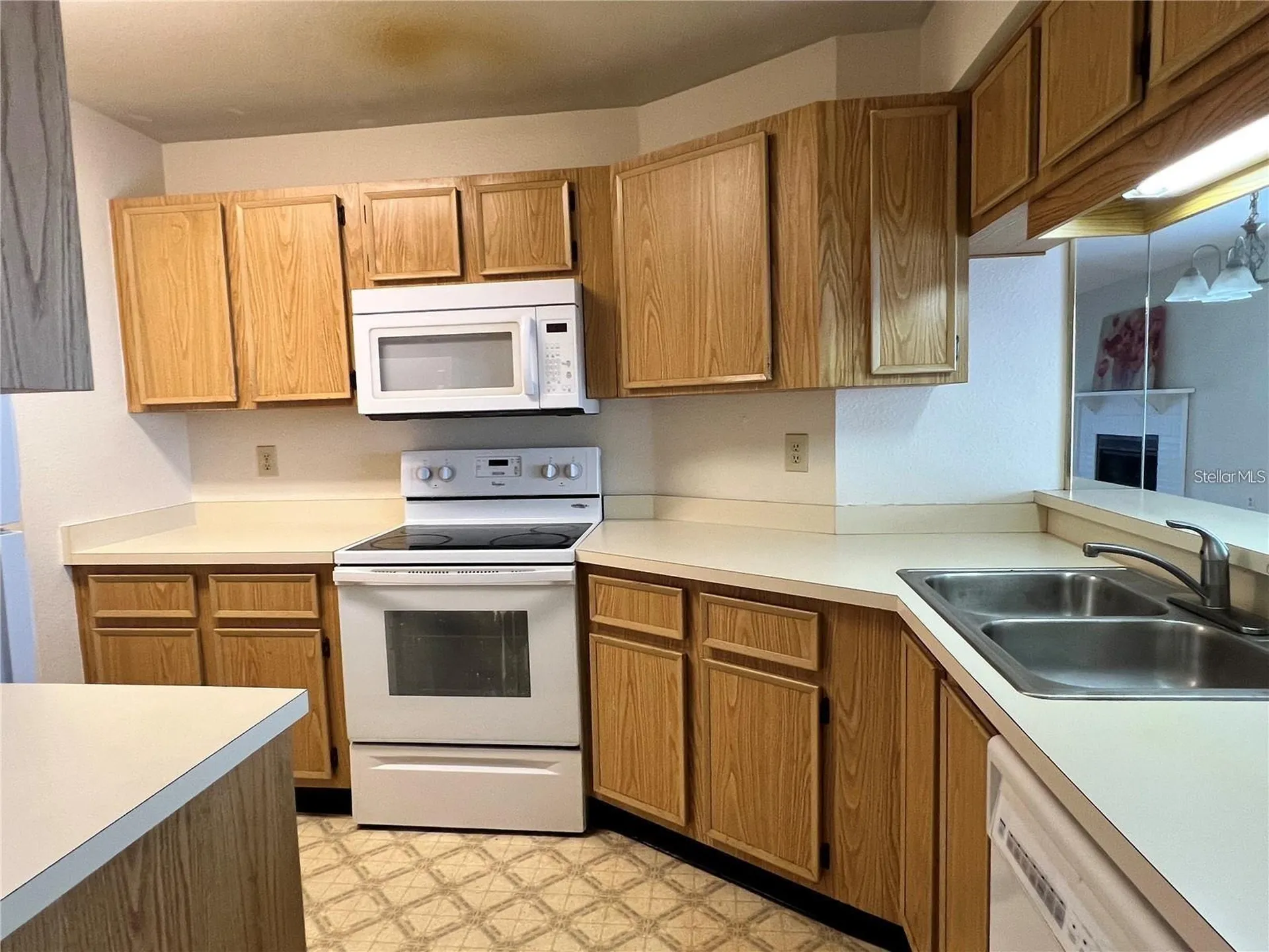 4015 Angel Oak Court Tampa FL 33613