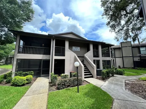 4015 Angel Oak Court Tampa FL 33613