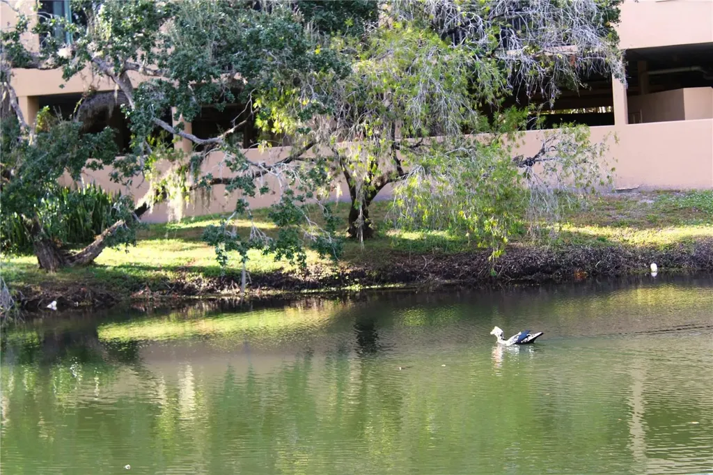 3078 Eastland Boulevard Clearwater FL 33761