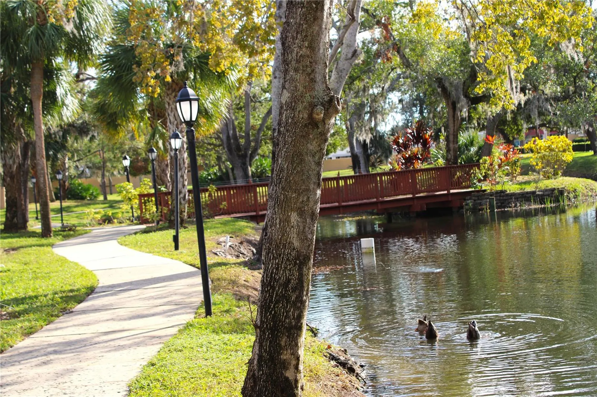 3078 Eastland Boulevard Clearwater FL 33761