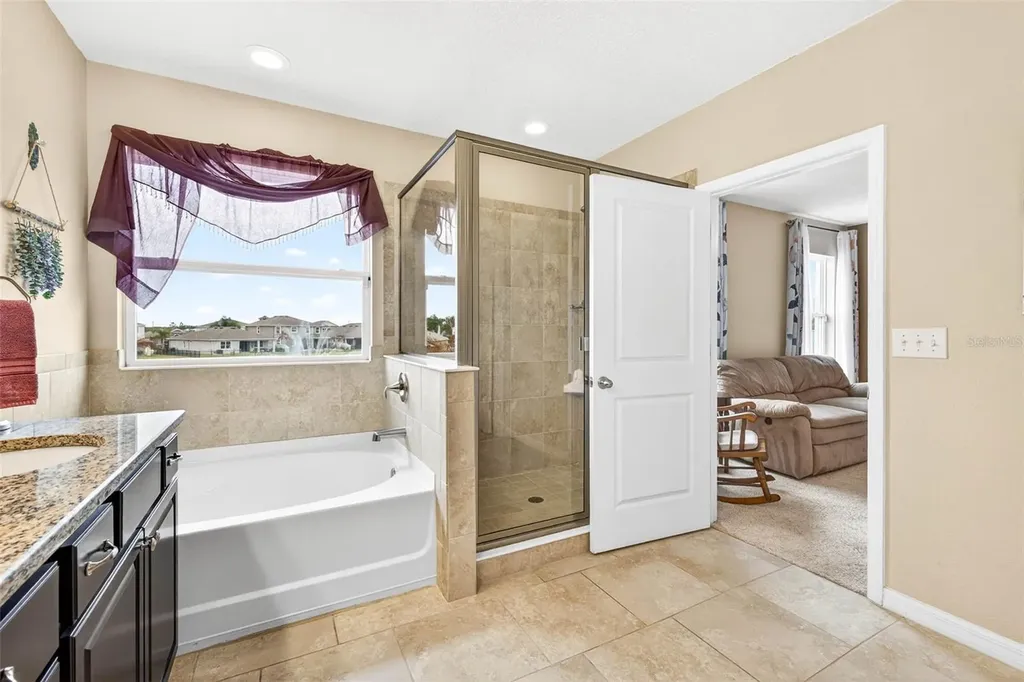 32741 Ansley Bloom Lane Wesley Chapel FL 33543
