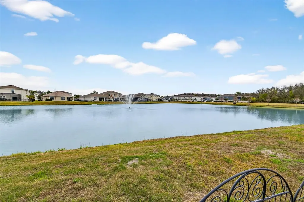 32741 Ansley Bloom Lane Wesley Chapel FL 33543