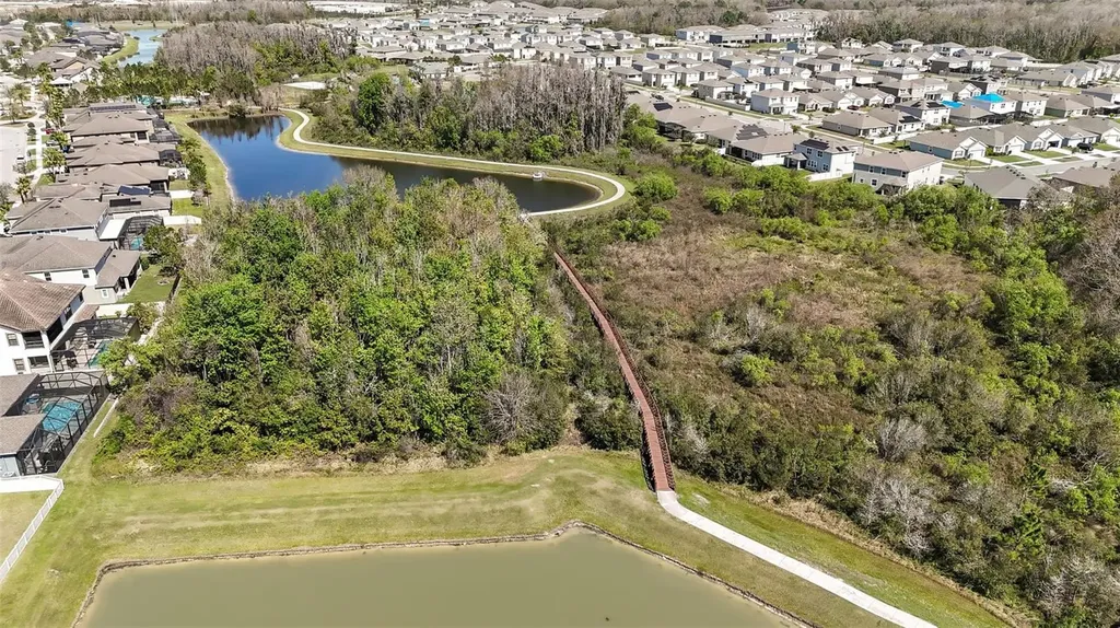 32741 Ansley Bloom Lane Wesley Chapel FL 33543
