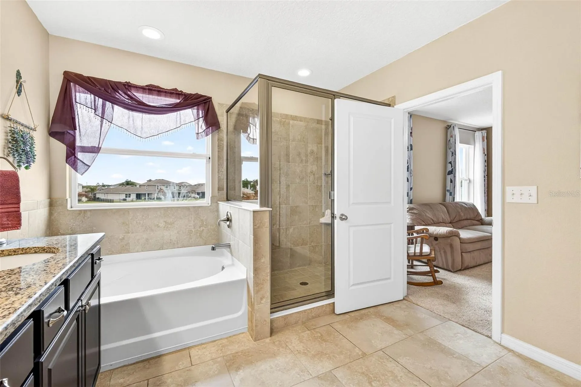 32741 Ansley Bloom Lane Wesley Chapel FL 33543