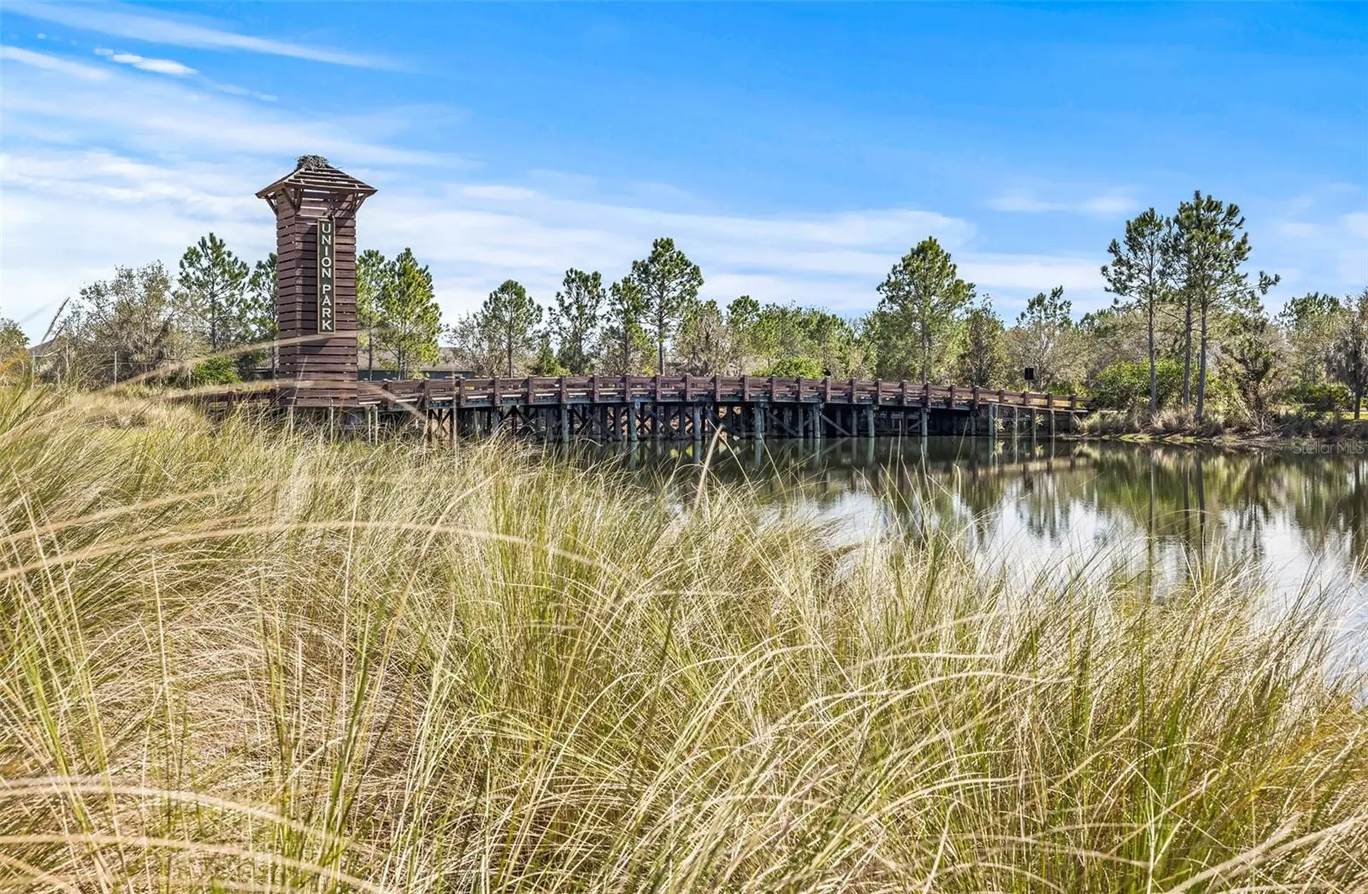 32741 Ansley Bloom Lane Wesley Chapel FL 33543