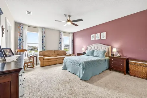 32741 Ansley Bloom Lane Wesley Chapel FL 33543