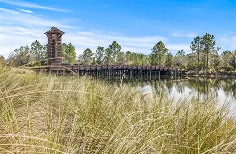 32741 Ansley Bloom Lane Wesley Chapel FL 33543