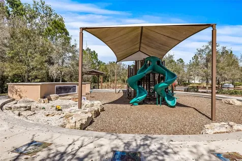 32741 Ansley Bloom Lane Wesley Chapel FL 33543