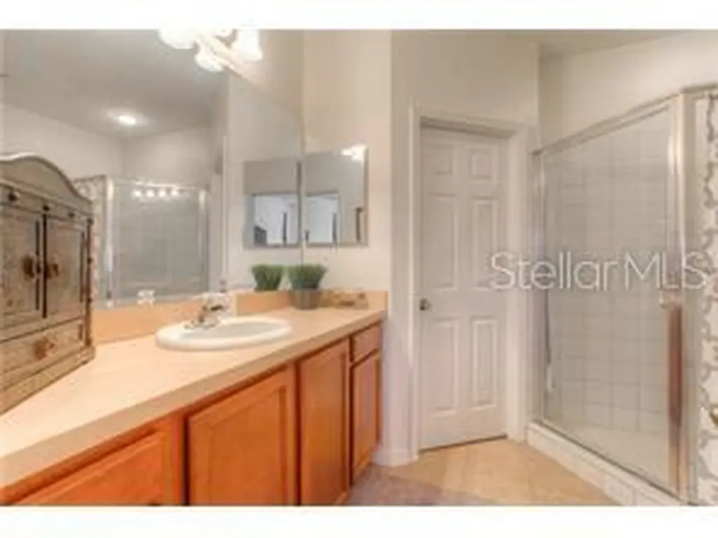 2955 Willowleaf Lane Wesley Chapel FL 33544