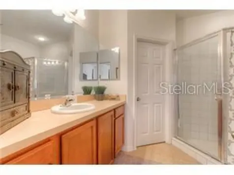 2955 Willowleaf Lane Wesley Chapel FL 33544