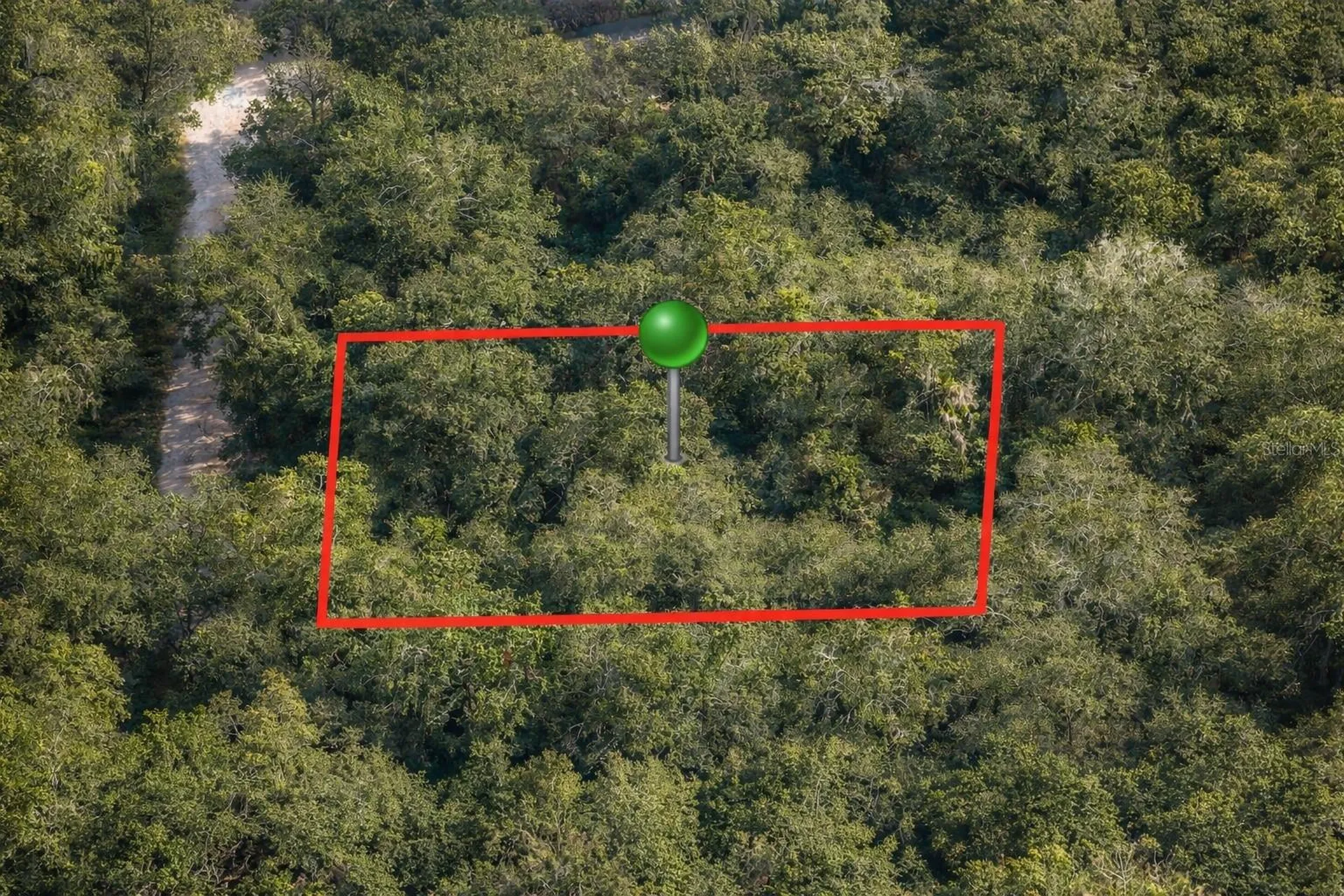 6619 N Canopy Terrace Hernando FL 34442