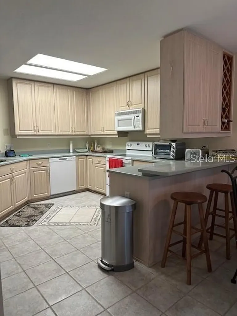 1746 Heron Cove Drive Lutz FL 33549