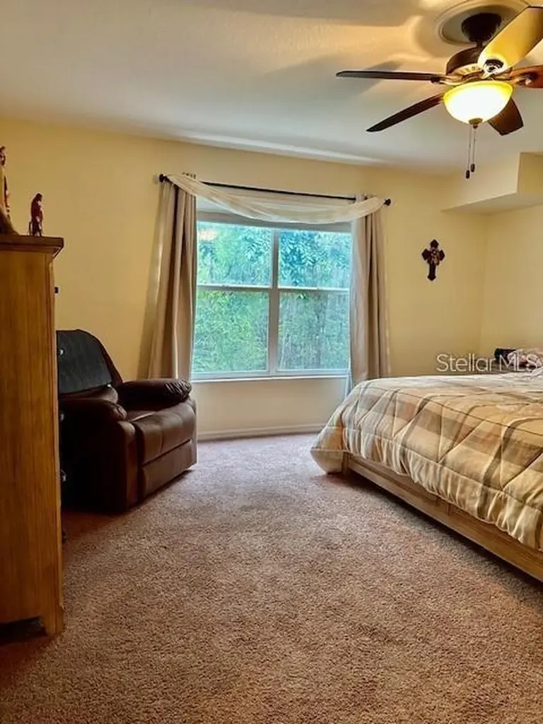 1746 Heron Cove Drive Lutz FL 33549