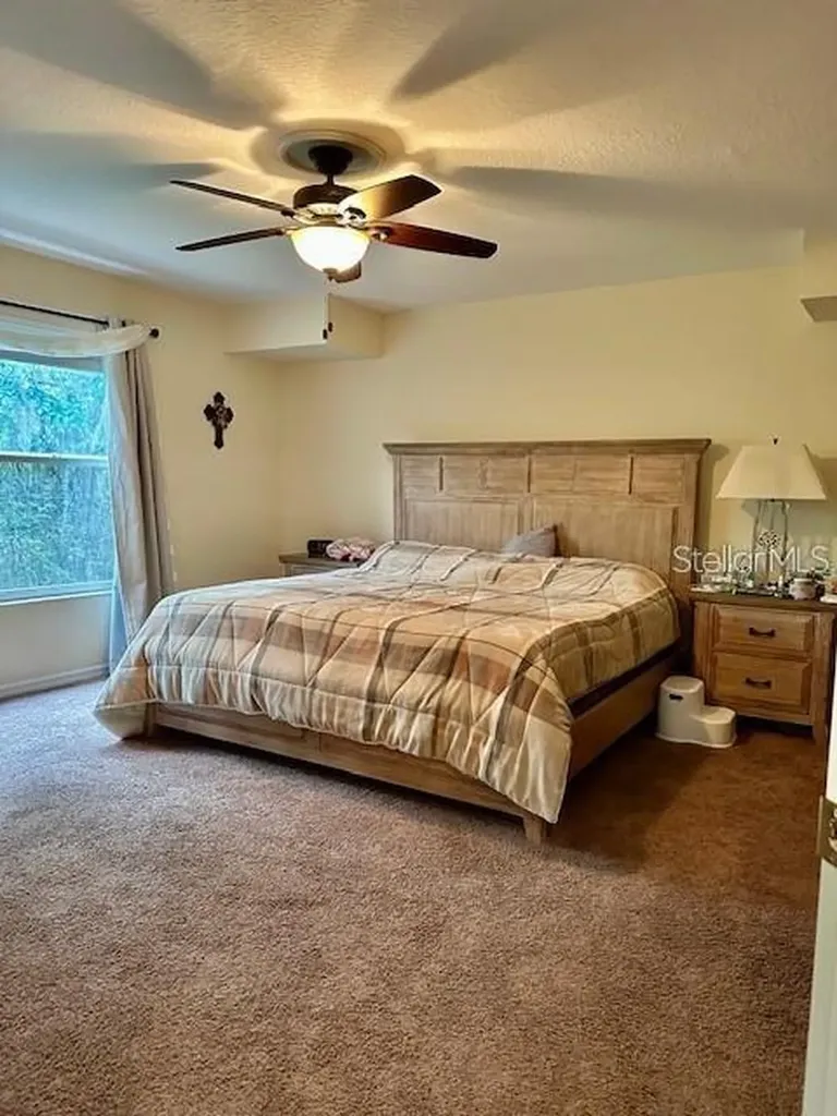 1746 Heron Cove Drive Lutz FL 33549