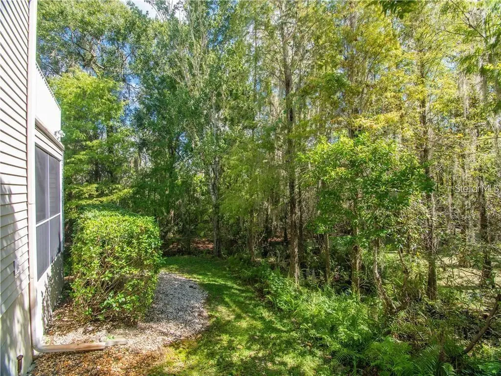 1746 Heron Cove Drive Lutz FL 33549