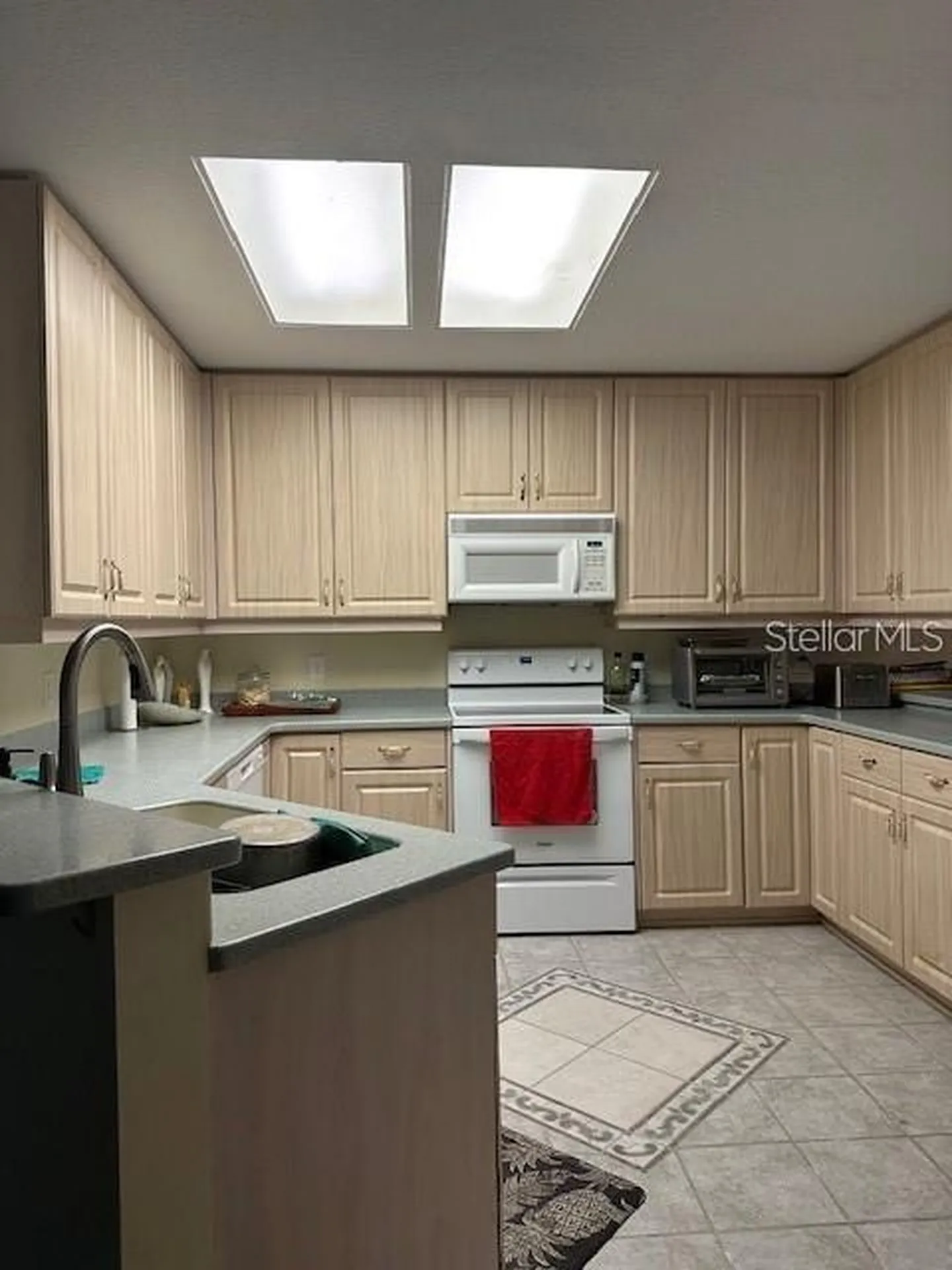 1746 Heron Cove Drive Lutz FL 33549