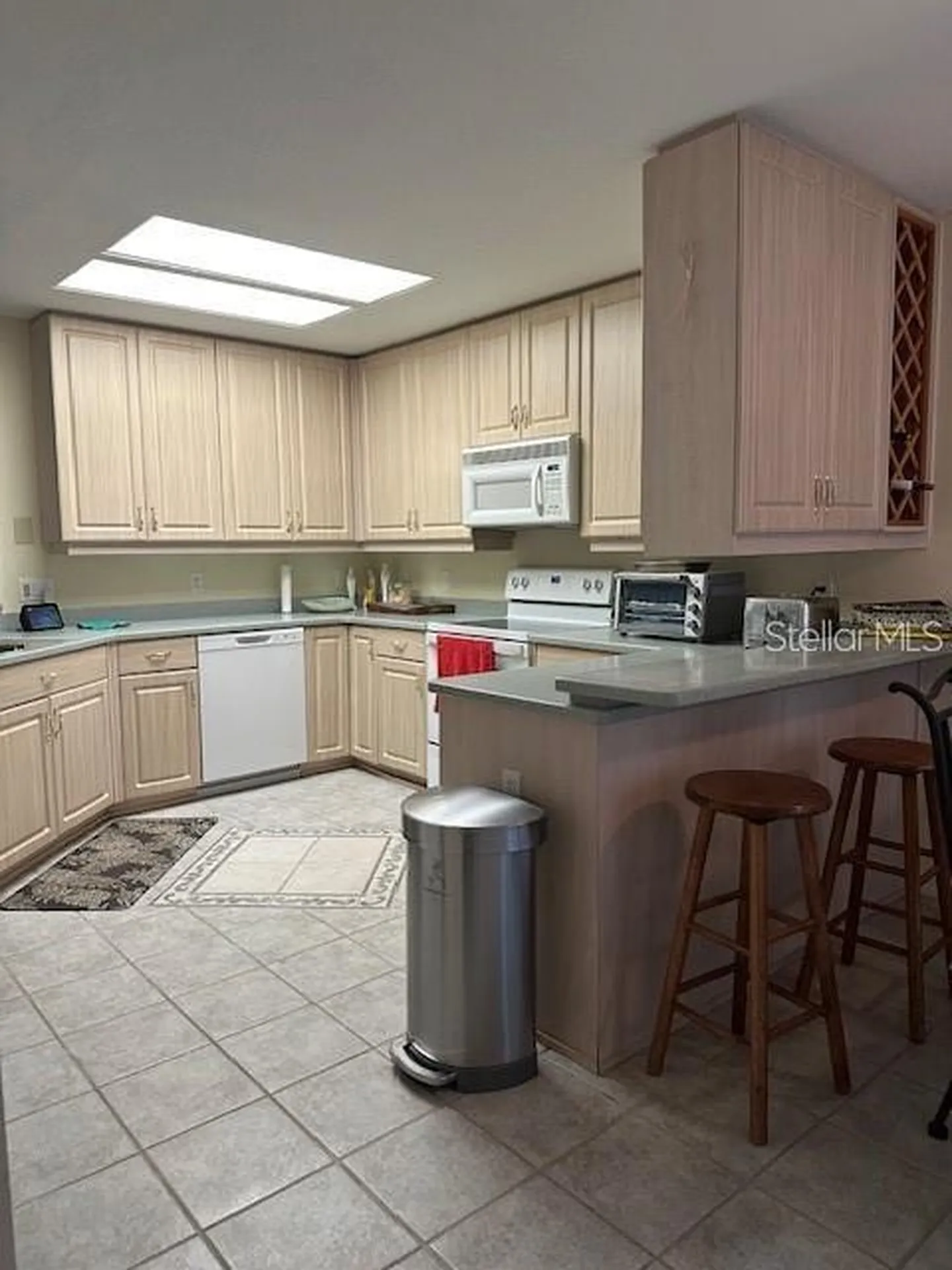 1746 Heron Cove Drive Lutz FL 33549
