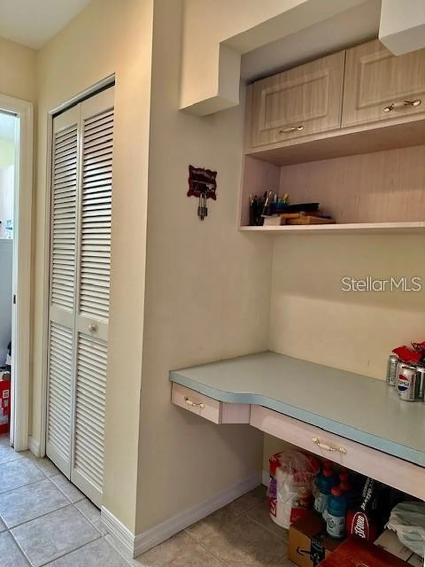1746 Heron Cove Drive Lutz FL 33549