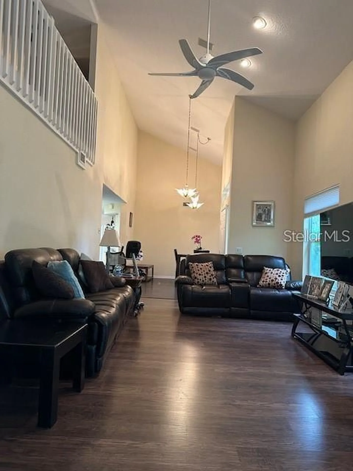 1746 Heron Cove Drive Lutz FL 33549
