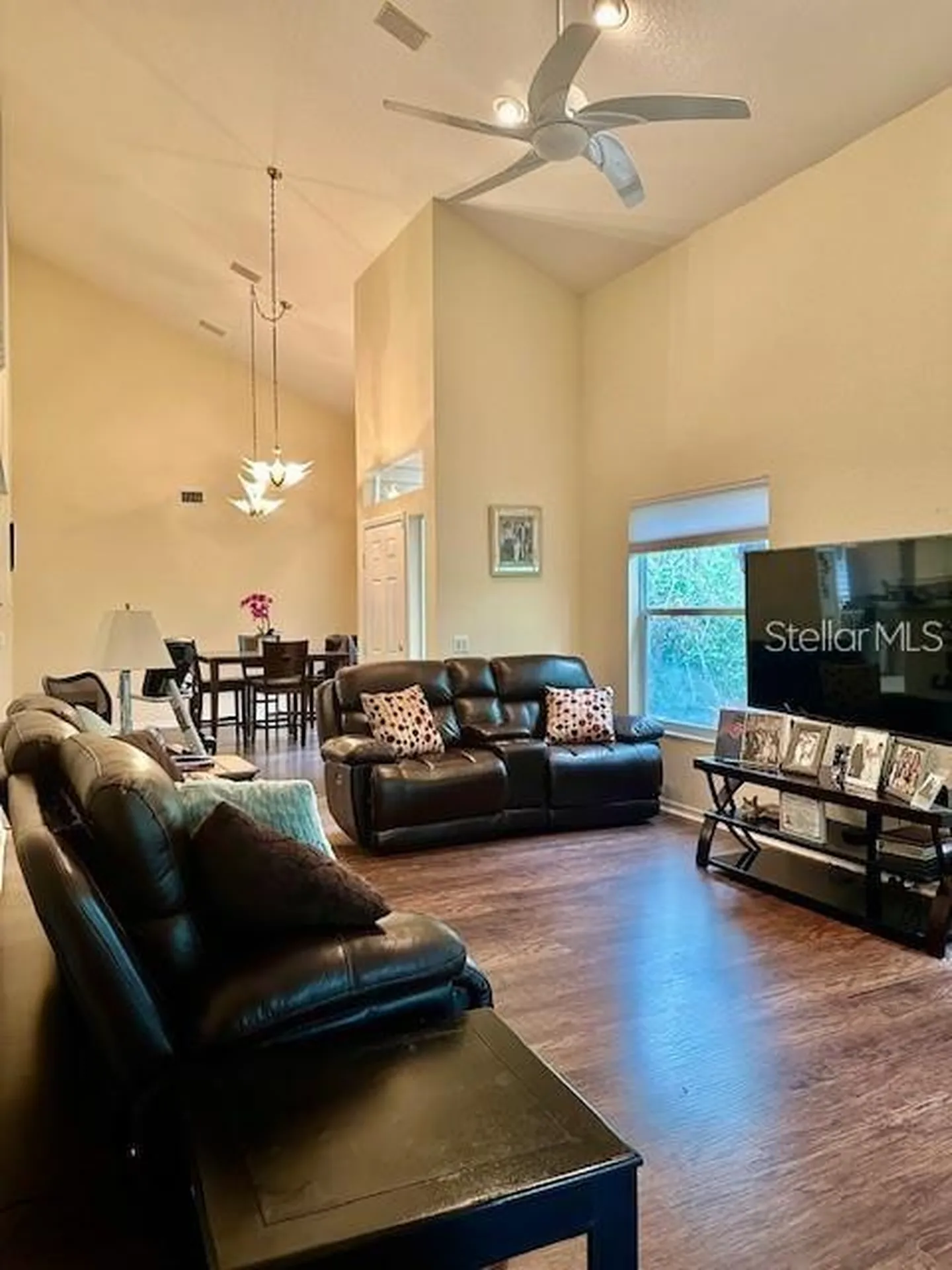 1746 Heron Cove Drive Lutz FL 33549