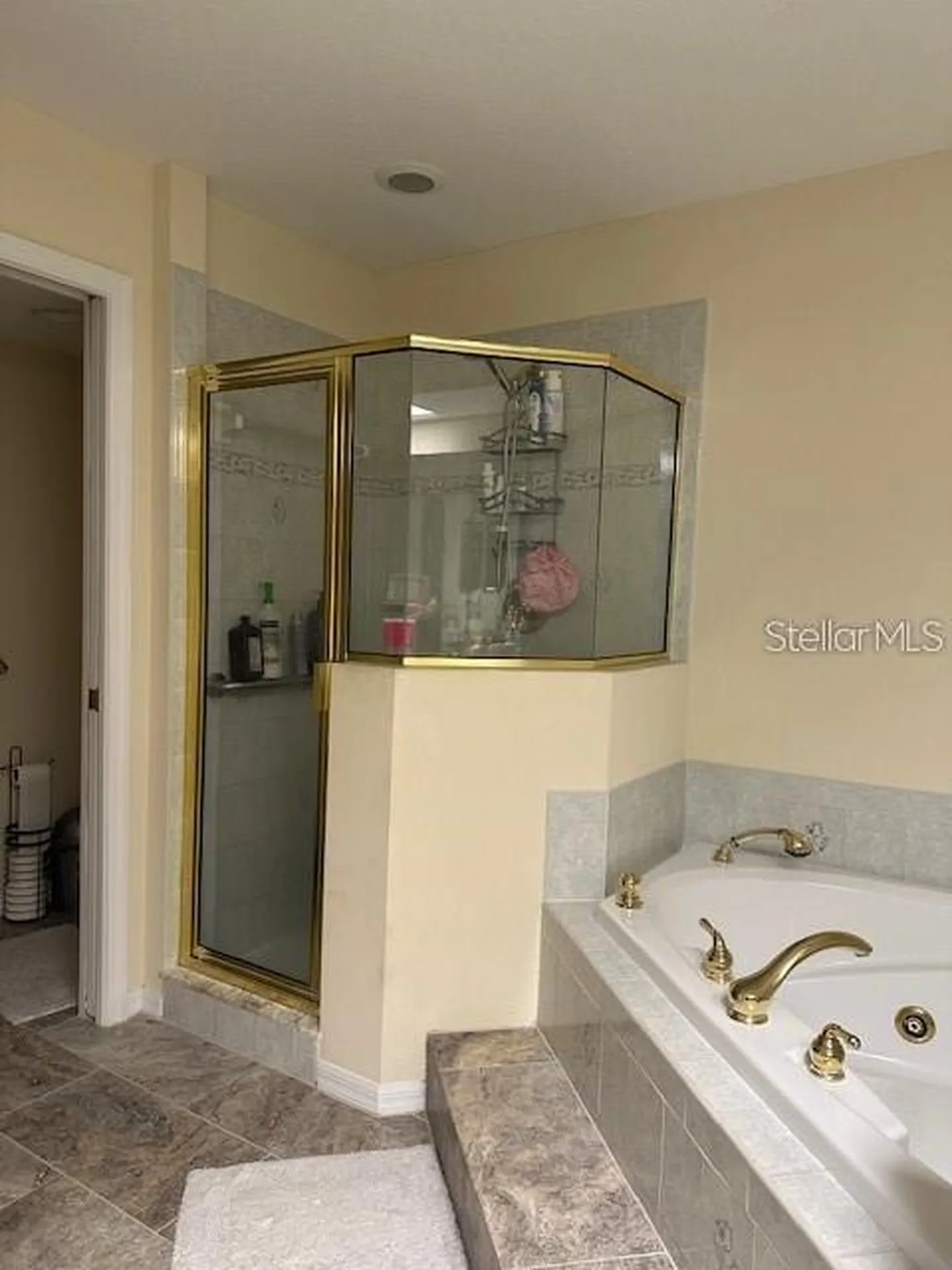 1746 Heron Cove Drive Lutz FL 33549