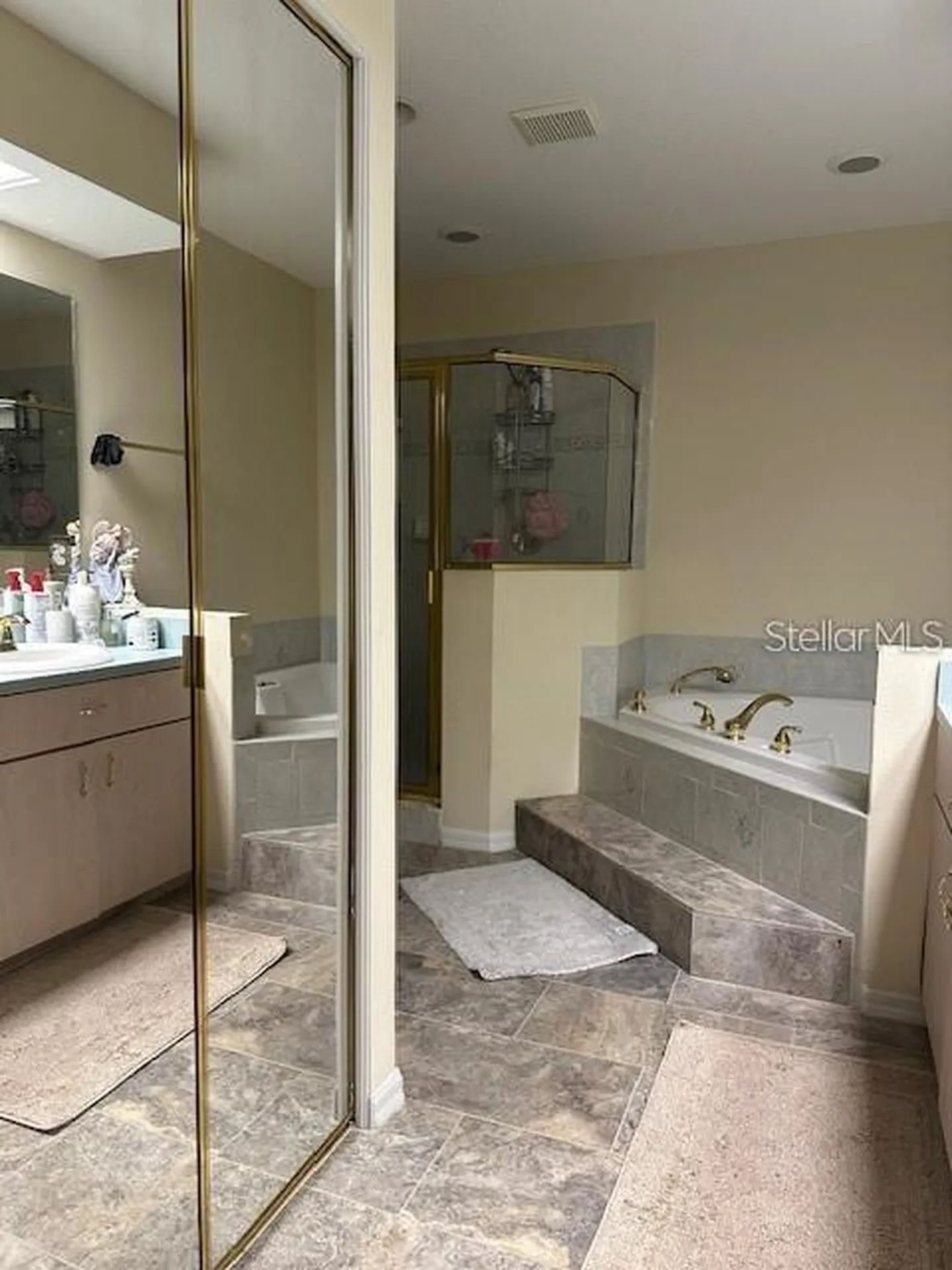 1746 Heron Cove Drive Lutz FL 33549