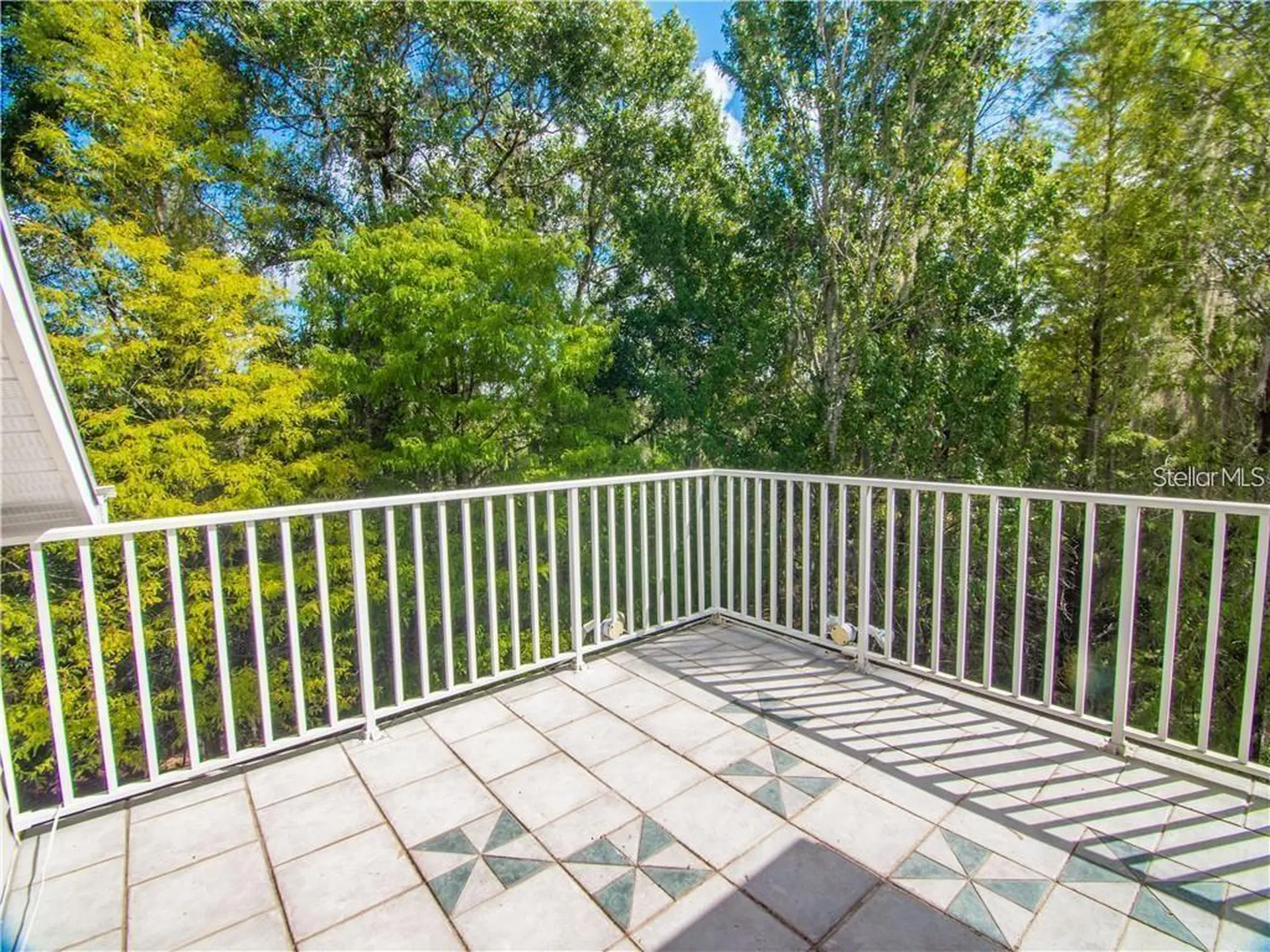 1746 Heron Cove Drive Lutz FL 33549
