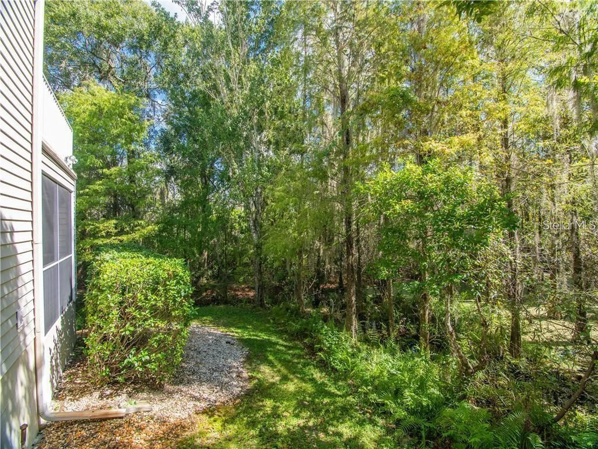 1746 Heron Cove Drive Lutz FL 33549