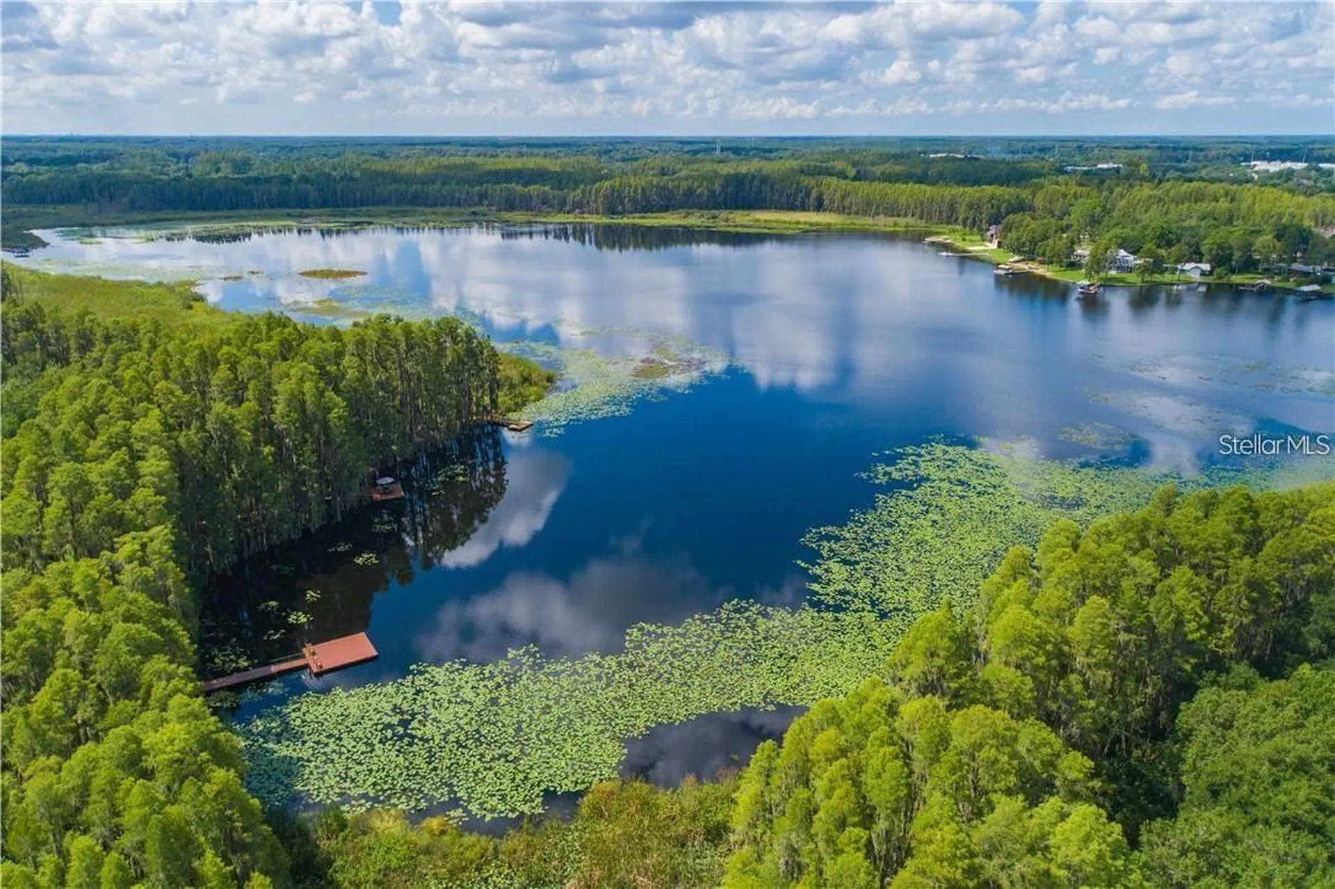 1746 Heron Cove Drive Lutz FL 33549
