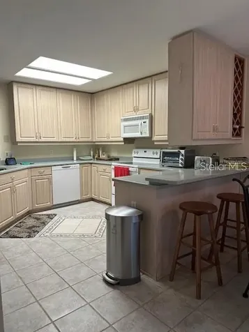 1746 Heron Cove Drive Lutz FL 33549