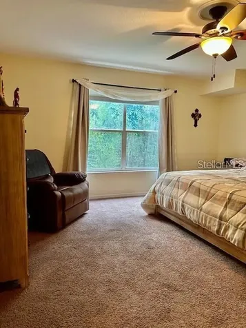 1746 Heron Cove Drive Lutz FL 33549