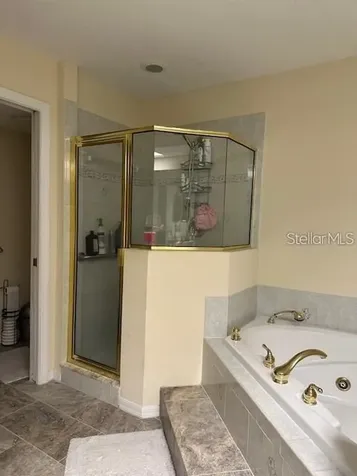 1746 Heron Cove Drive Lutz FL 33549
