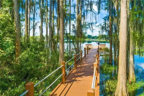 1746 Heron Cove Drive Lutz FL 33549