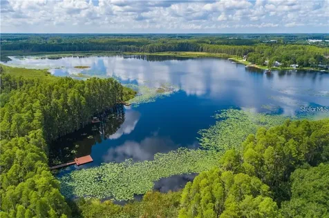 1746 Heron Cove Drive Lutz FL 33549