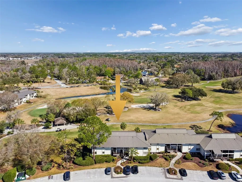 29129 Bay Hollow Drive Wesley Chapel FL 33543