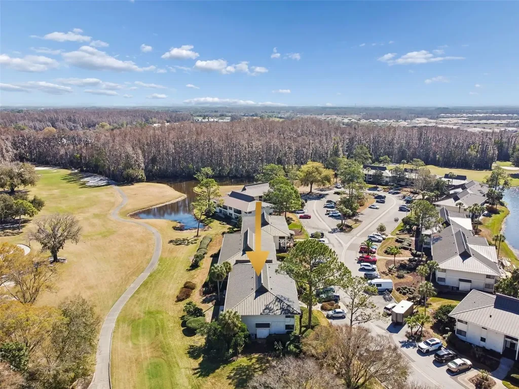 29129 Bay Hollow Drive Wesley Chapel FL 33543