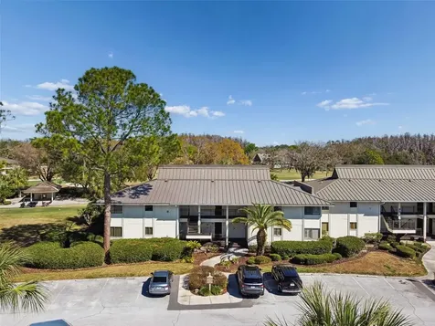 29129 Bay Hollow Drive Wesley Chapel FL 33543