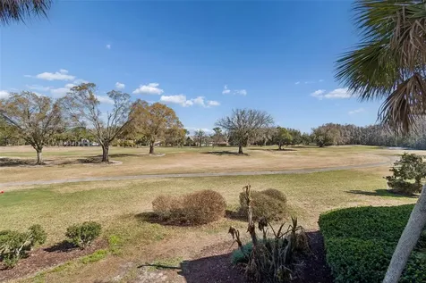 29129 Bay Hollow Drive Wesley Chapel FL 33543