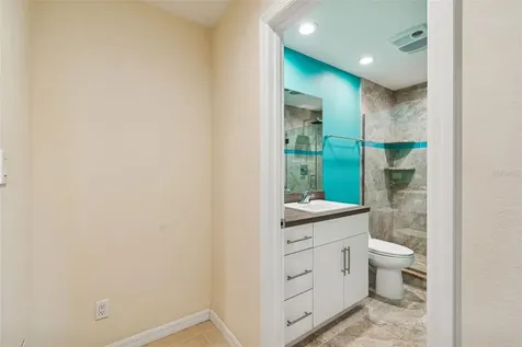 29129 Bay Hollow Drive Wesley Chapel FL 33543
