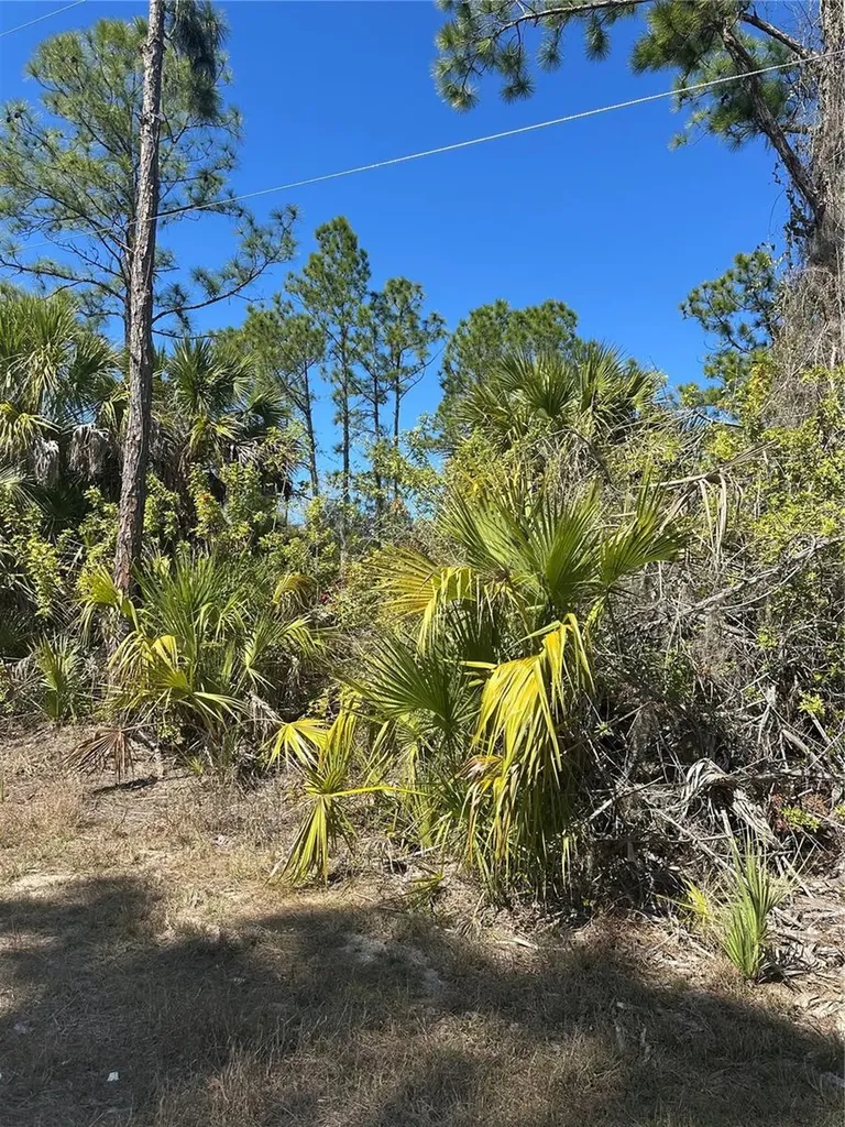 Henning Street North Port FL 34288