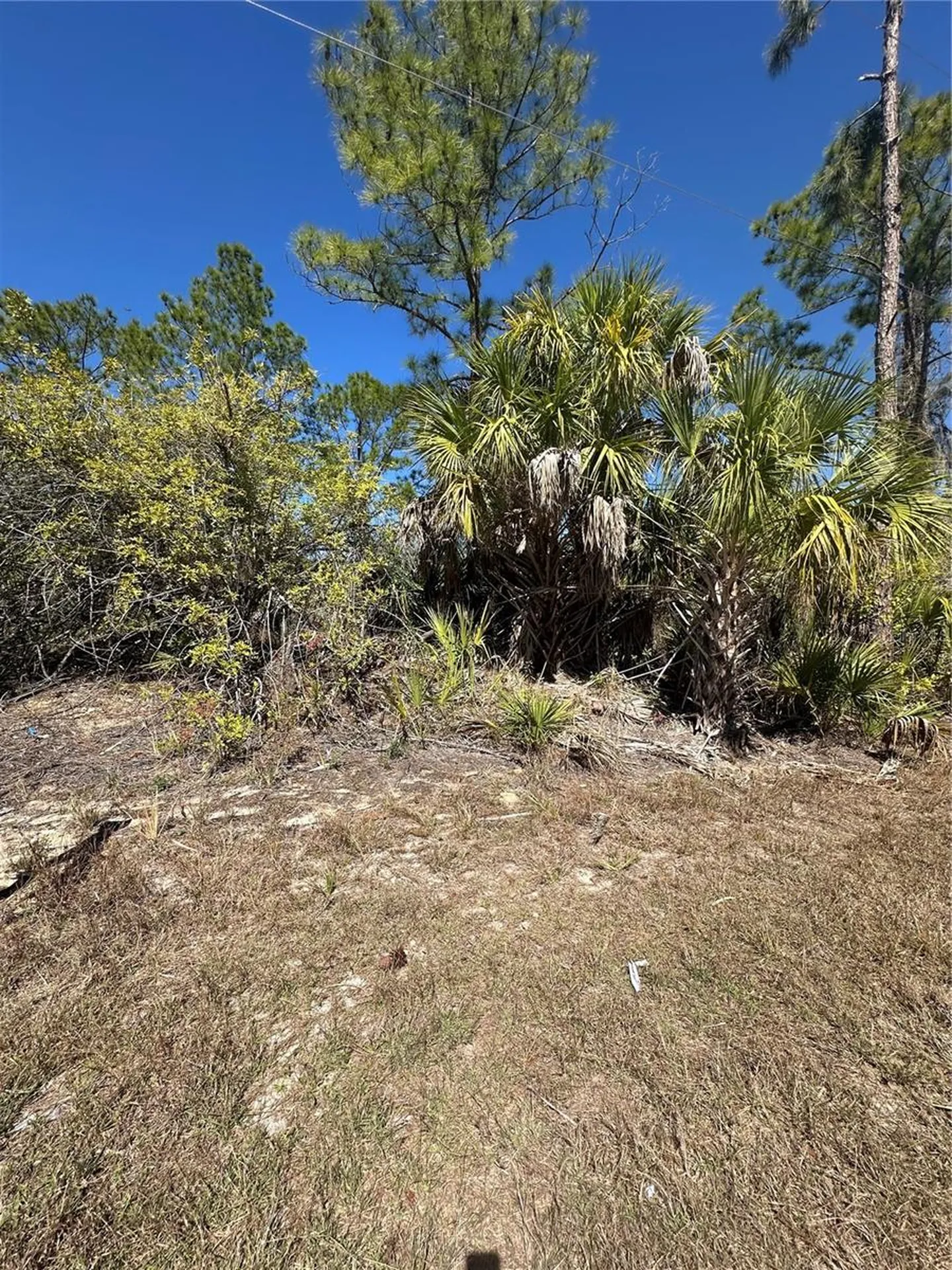 Henning Street North Port FL 34288